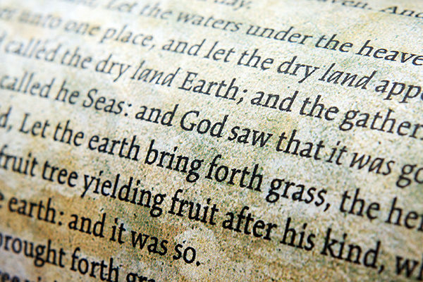 Close Up of Bible Words
